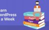 WordPress基础操作教程