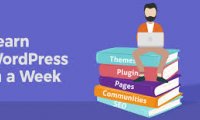 WordPress基础操作教程